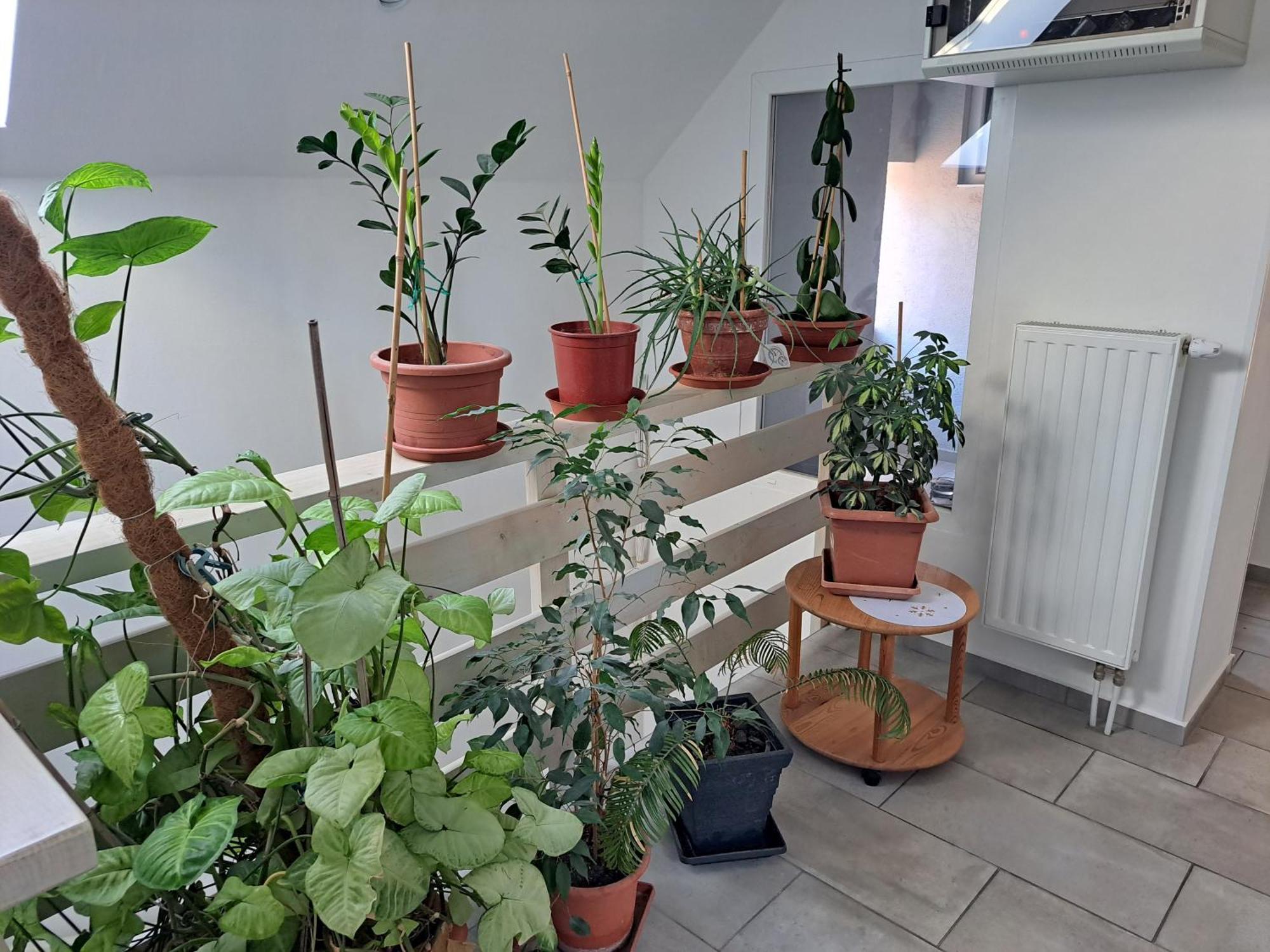 Apartmany Amalia Piest'any Luaran gambar